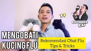 CARA MENGOBATI KUCING FLU / FLU KUCING / KUCING PILEK - REKOMENDASI OBAT FLU KUCING