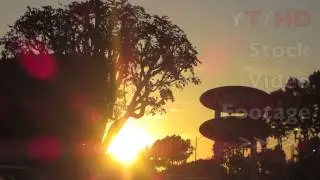 Sunset w/ Trees & Ralphs Grocery / RiteAid Sign in Shadow Backlit by Sun | HD Stock Video Footage
