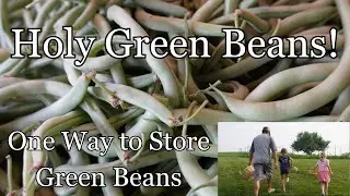 How to Store Green Beans - Freezing Green Beans