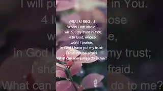 PSALM 56:3-4 (DAILY BIBLE VERSE)