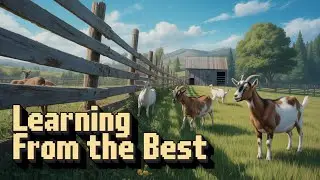 Want Amazing Farm Results? Watch Our Mentor's Top Tips