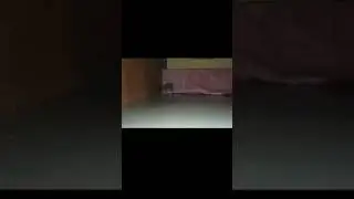 https://www.youtube.com/@xomka_27
