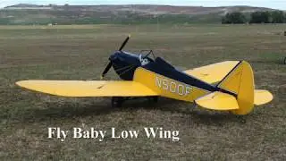 Fly Baby Low Wing 1/3 scale