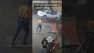 Snake in wheel well