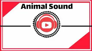 Animal sound effects for video editing[&bull;Video SFX (free)&bull;]