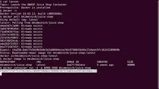 OWASP juice shop on Docker