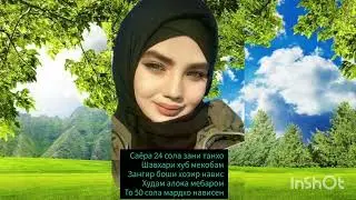 Шинос мешем