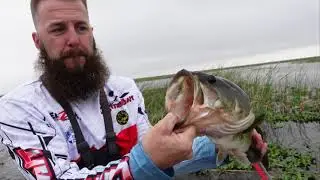 Zman Jack Hammer Stealth Blade Debut! Lake Okeechobee #FishingWithFriends #BigBass #Fishing
