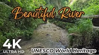 Relaxing Nature Sounds, Earth Nature Sounds, UNESCO World Heritage Site