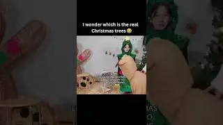 I wonder which is the real  Christmas trees #kpop #leserrafim