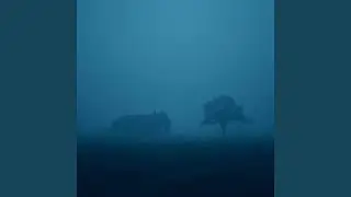 false haven