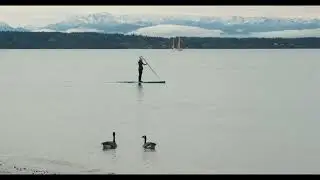 Sights and Sound: Discovery Park, January 2026