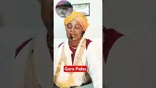 Gora paho #mahaprabhu #live #highlights #movie