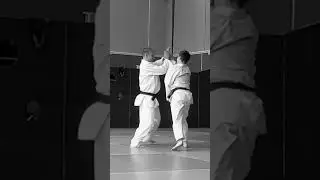 Shomenuchi sokumen iriminage 正面打ち自由技 #shorts #training #kiyokan #aikidoforfun #aikido #jiyuwaza