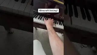 Thanks Dan Rosenfeld #minecraft #piano #music