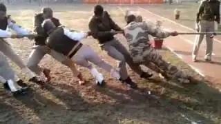 Tug Of War | KSTPS Kota |  Republic Day Celebration