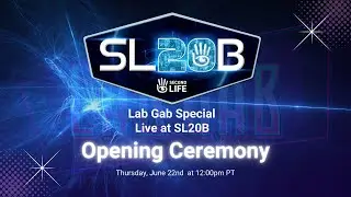 Лабораторный разговор Second Life &mdash; церемония открытия SL20B