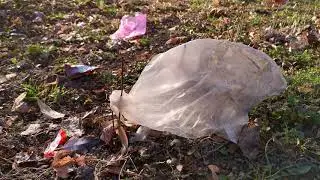 Fish Gods Clean Earth Bag - Full Version