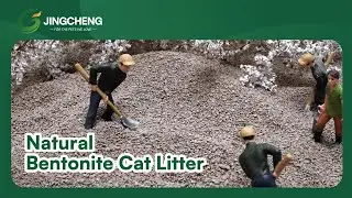 【JingchengPet】Natural Bentonite Cat Litter | Activated Charcoal Odor Control Formula