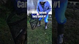 Winter Surface Carp Catch #1