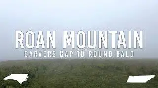 Roan Mountain | Carvers Gap to Round Bald