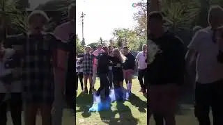 These gender reveals really POPPED off #GenderReveal #boyorgirl #genderrevealparty #YTshorts #Shorts