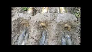 Easy Bamboo Deep Hole Fishing Trap - Cute Girl Catching Fish With Bamboo Deep Hole Fish Trap