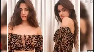 Disha Patani New Photos on Twitter | Trolled on Social Media
