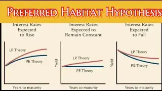 preferred habitat hypothesis / the terms structure theory of interest rate
