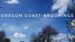 Oregon Coast: Brookings Places for family. Fishing, Hiking, Hotels, Food. Wind Almost Blew Us Away!