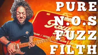 Warm Audio Foxy Tone Box | NOS Fuzzy Goodness