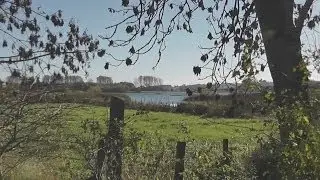 Rutland Water: Egleton Reserve: 10th November 2013