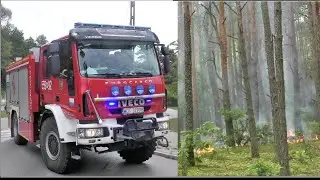 [TRĄBY] Straż pożarna alarmowo do pożaru poszycia leśnego - Akcja gaśnicza oraz dojazdy alarmowe