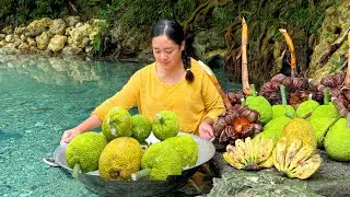 Breadfruit and Nipa Fruit: A Tropical Taste of Adventure