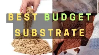 River Sand or Garden Soil? Best Budget Substrate for Lush Planted Tanks | Hindi