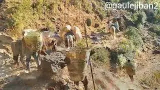 Extreme Village Life | Dangerous River Crossing & Survival Struggle