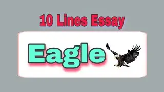 10 Lines Essay on Eagle || English Essay on Eagle || Write Easy...