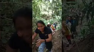 Hiking Day