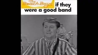 The Beach Boys, If They Were Good (Meme)