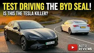 Можно ли назвать эмблему BYD &laquo;убийцей Tesla&raquo;?