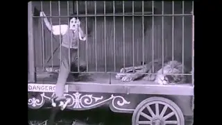 The Lion's Cage Sound Project