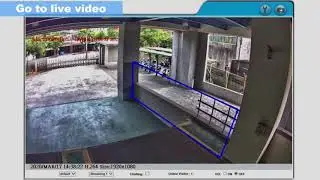 AI Featured Network Camera - Virtual Fence