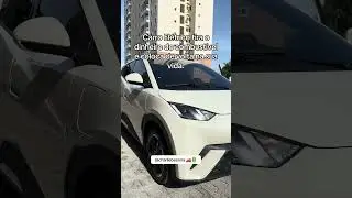 Электромобили позволяют значительно сэкономить. #byd #dolphinmini #electriccars #seal