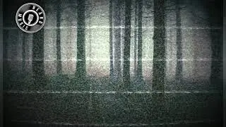 Crawling (Horror Theme)