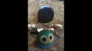Comparison Echo Pop vs Echo dot Who will win the best? How about Echo Pop?
