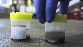 CRC Early Career Researchers 2016 Video: Adam Shypanski