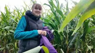 CORN MAZE AND PUMPKINS 2025 | #scaremaze #2025 #halloween #october #christmasfarm 