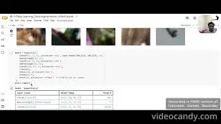 Deep Learning - Data Augmentation Case Studies ( Discussing Two Data sets)