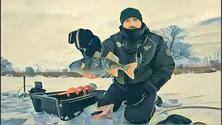 Ловля окуня на балансир. Река Самара