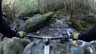 Mountain Bike Hire Hobart - Sojourn Bicycles - Pitfall to Stumpside Track